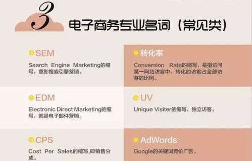 电子商务专业知识体会