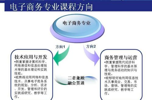 电子商务专业考研都考啥