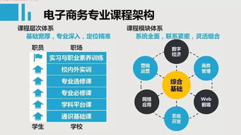 电子商务什么专业课多