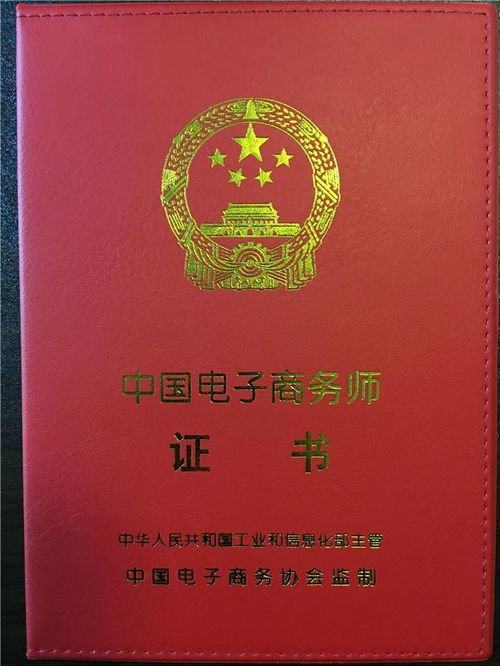 电子商务师专业解读书