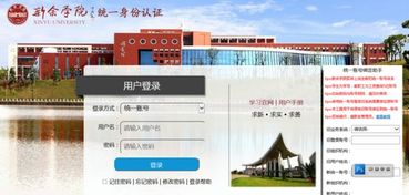 电子商务专科专业科目