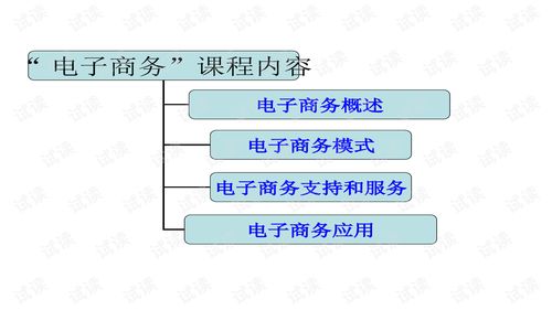 电子商务专业核心内容